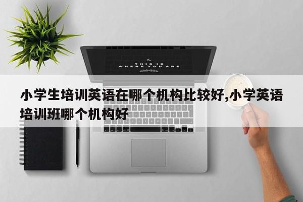 小学生培训英语在哪个机构比较好,小学英语培训班哪个机构好
