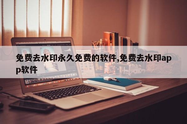 免费去水印永久免费的软件,免费去水印app软件