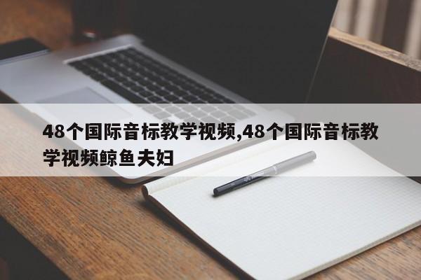 48个国际音标教学视频,48个国际音标教学视频鲸鱼夫妇
