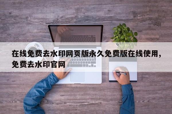 在线免费去水印网页版永久免费版在线使用,免费去水印官网